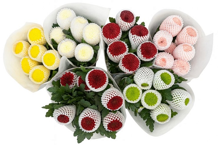 Хризантема одн. Pompon Mum Микс (К) дл.70 10шт