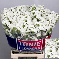 Статица Pearl Wings 5шт