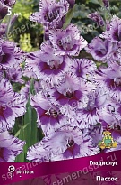 Гладиолус Пассос 10/12 5шт