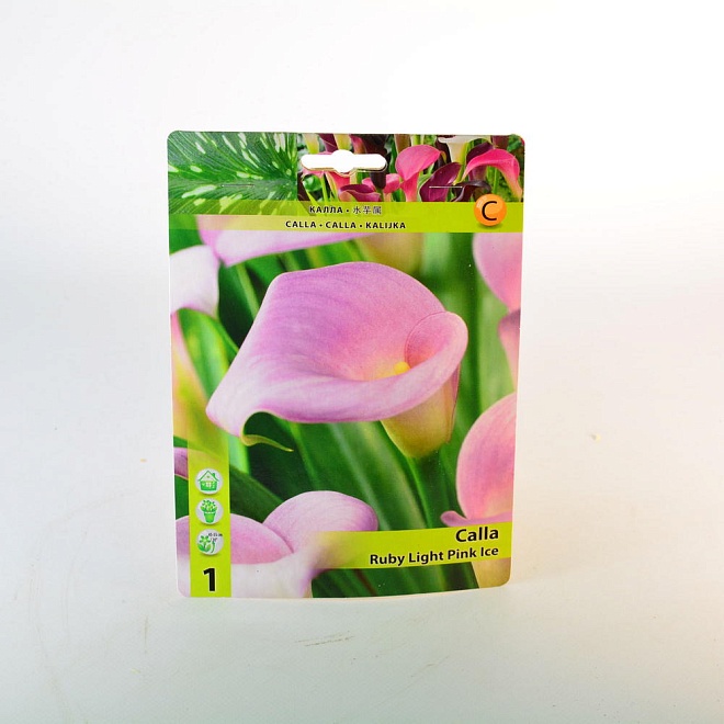 Калла Руби Лайт Пинк Айс 12/14 1шт*