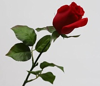 Роза искусственная 1 голова h32см красный