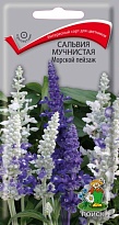 Сальвия мучнистая Морской пейзаж 10шт /Поиск