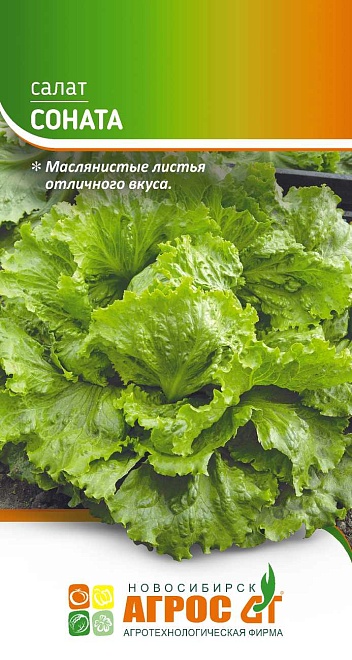 Салат кочанный Соната 0,3г /Агрос 