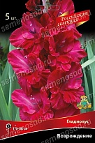Гладиолус Возрождение 10/12 5шт