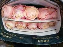 Роза Katherine пионовидная (К) дл.70 10шт