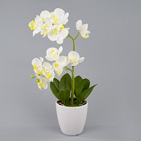 Орхидея фаленопсис 2 ветки искусственный h37 белый
