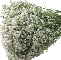 Гипсофила Белая (К) дл.70 1уп