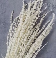 Лаванда сухоцвет, 70г, h50-60см, белый