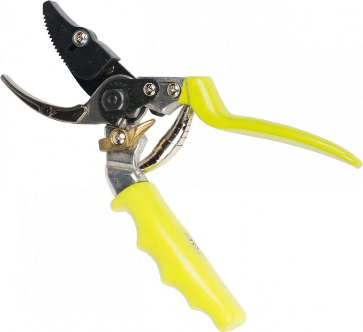 Секатор Listok 25*6см нержавеющая сталь салатовые ручки