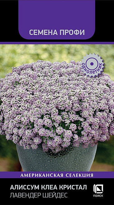 Алиссум Клеа Кристал Лавендер Шейдес 20шт /Поиск