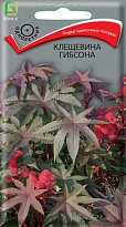 Клещевина Гибсона 2г /Поиск