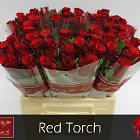 Роза Red Torch дл.35 10шт
