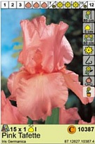 Ирис Пинк Таффета герм. 1шт*