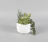 Суккулент искусcтвенный h15см зеленый