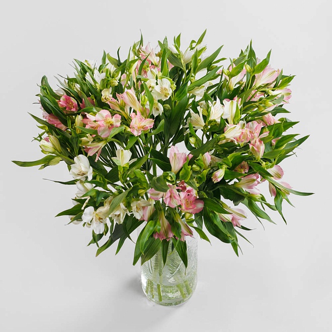 Букет из альстромерии "Мелодия"