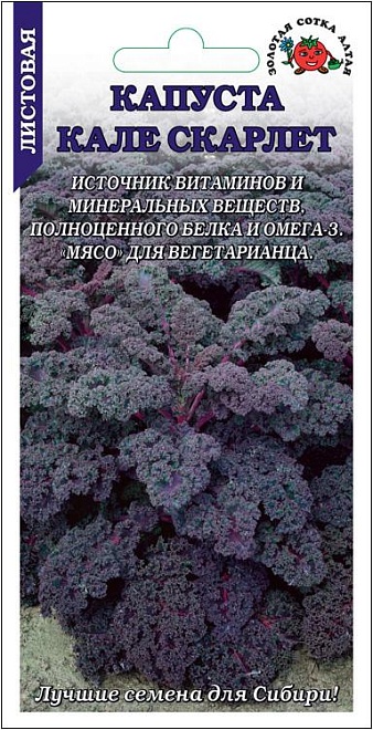 Капуста Кале Скарлет листовая 0,3г /ЗС