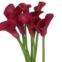 Калла Dior дл.50 10шт