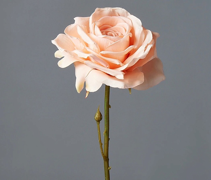 Роза одиночная искусственная h75см нежно-персиковый