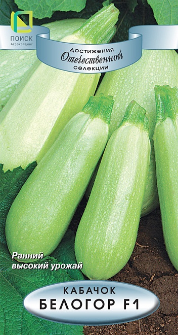 Кабачок Белогор F1 раннесп. 12шт /Поиск