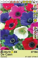 Анемона Де Каен 5/6 10шт*