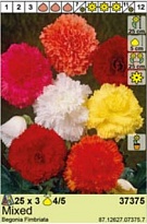 Бегония Фимбриата микс 4/5 3шт*