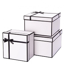 Коробка подарочная, "Кант" 25*15см, белый