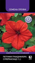 Петуния грандифлора Суперкаскад Ред 10шт /Поиск