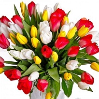 Тюльпан Mix (in bunch) 10шт