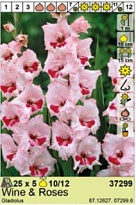 Гладиолус Вайн энд Роузес 10/12 5шт*