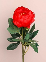 Пион одиночный, искусственный h65см красный