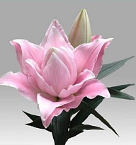 Лилия dbl Sarah Bernhardt 1+ 10шт