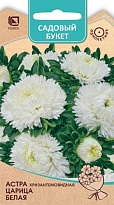 Астра хризантемовидная Царица Белая 0,1г /Поиск