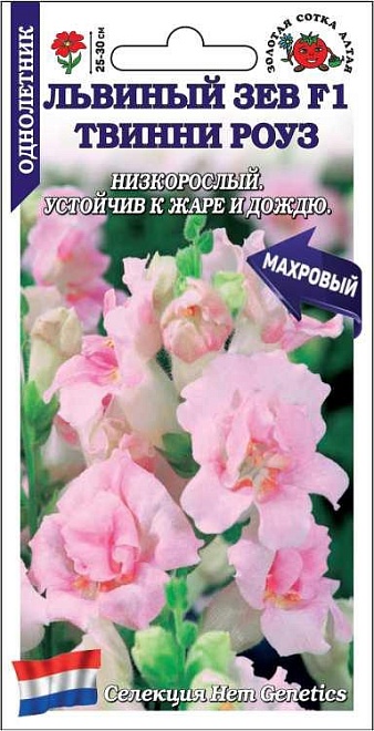 Антирринум (Львиный зев) Твинни Роуз F1 5 шт /ЗС