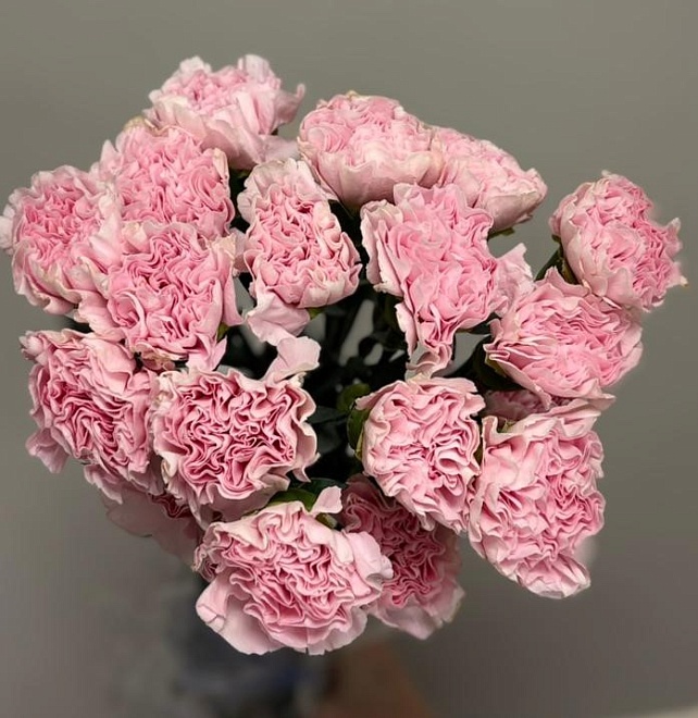 Гвоздика Одноголовая Pink Beauty (К) дл.65 20шт