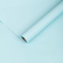 Пленка матовая 57*57см Самая нужная 20 листов голубой