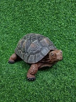 Черепаха средняя h24см