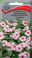 Катарантус ампельный Медитерранеан Строберри 10шт /Поиск