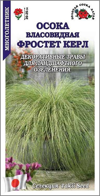 Осока Фростет Керл власовидная 5шт /ЗС