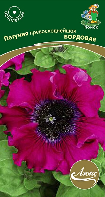 Петуния Превосходнейшая Бордовая 10шт /Поиск