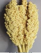 Сорго Bleached Cream пучок 1шт