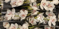 орхидея Cymbidium White Vanity дл.50 *12 1шт