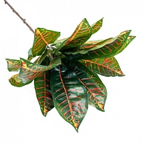 Зелень ветка искусственная кротон h75см зеленый