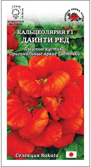 Кальцеолярия Даинти Ред F1 5шт /ЗС