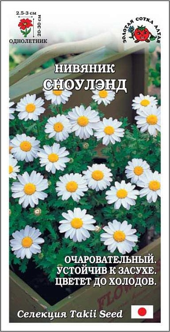 Нивяник Сноуленд 10шт /ЗС