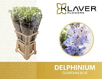 Дельфиниум Guardian Blue 10шт