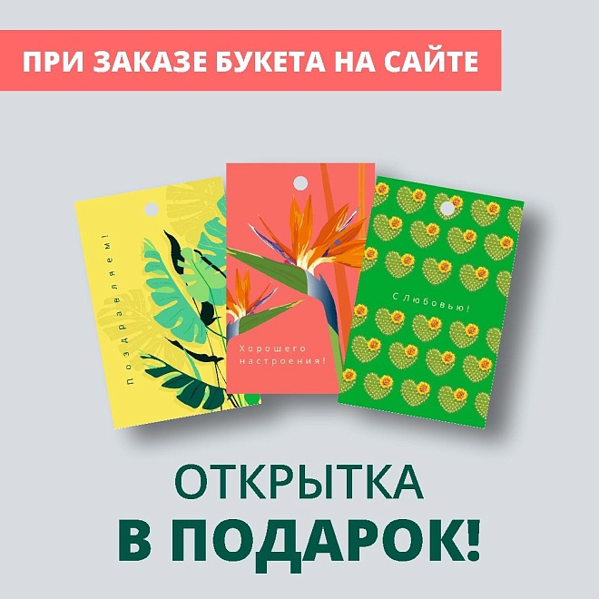Композиция микс "Шарлотта"