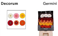 Гербера mini Gerponi Mix 75шт