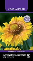 Гайлардия грандифлора Хот Эприкот 10шт /Поиск