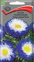 Астра помпонная Превосходный Ракли 0,3г /Поиск