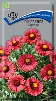 Гайлардия Бургунди 0,2г/Поиск